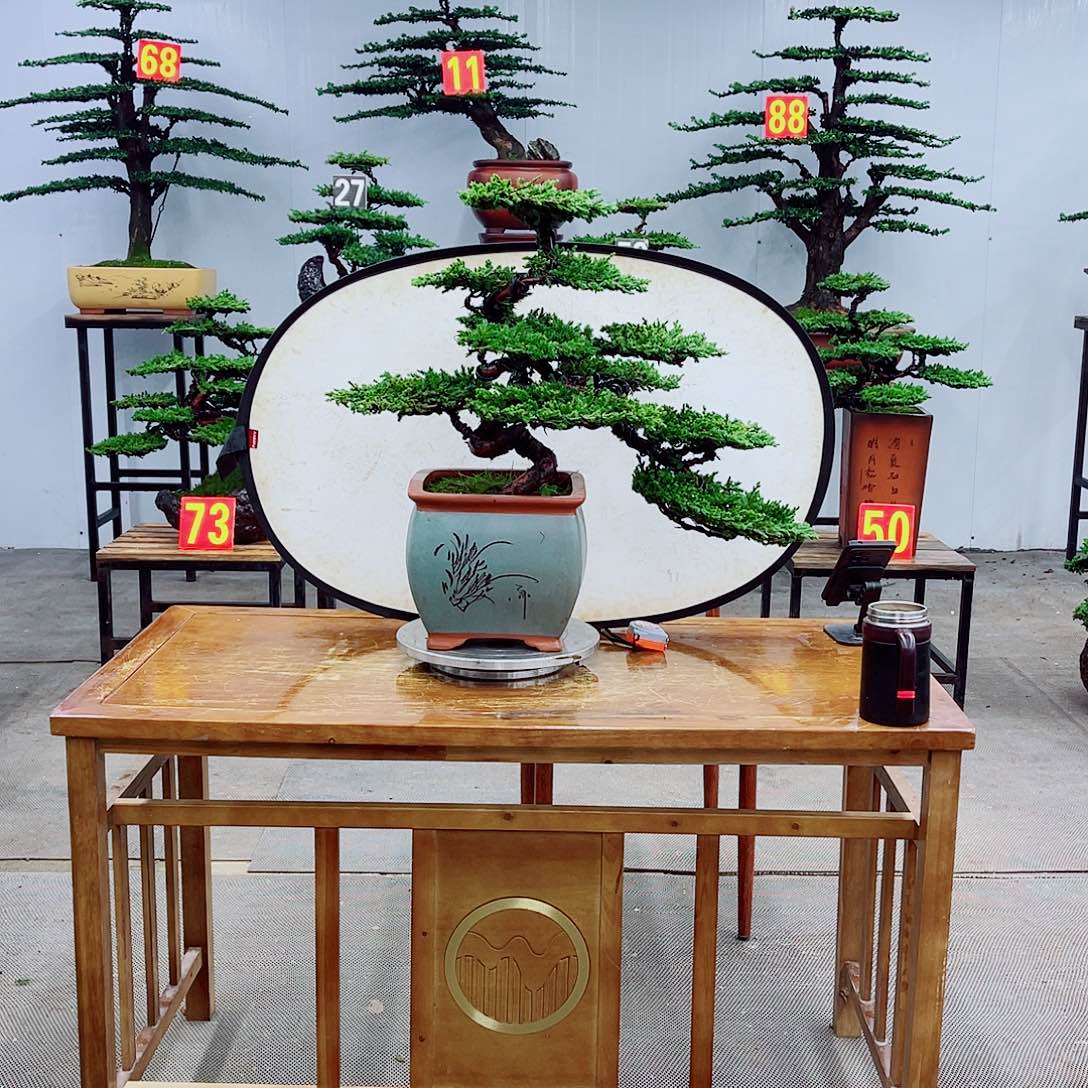 无花朵直播间一物一拍