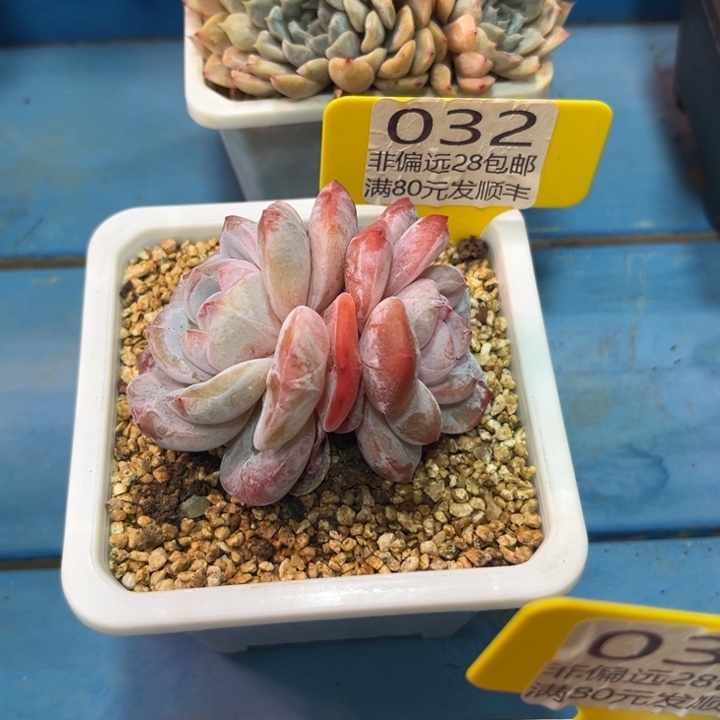 大032/？vncvxvbnjn