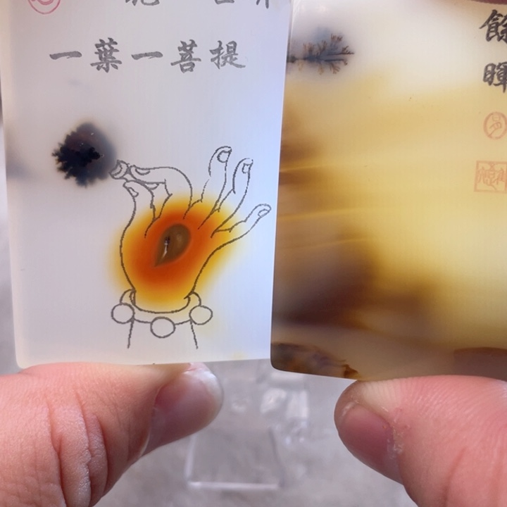 【闪购商品】玛瑙/玉髓颈饰未镶嵌红**石