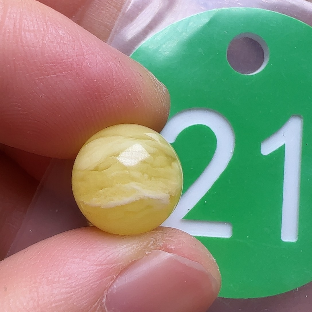 蜜蜡未镶嵌珠宝奇石11m m