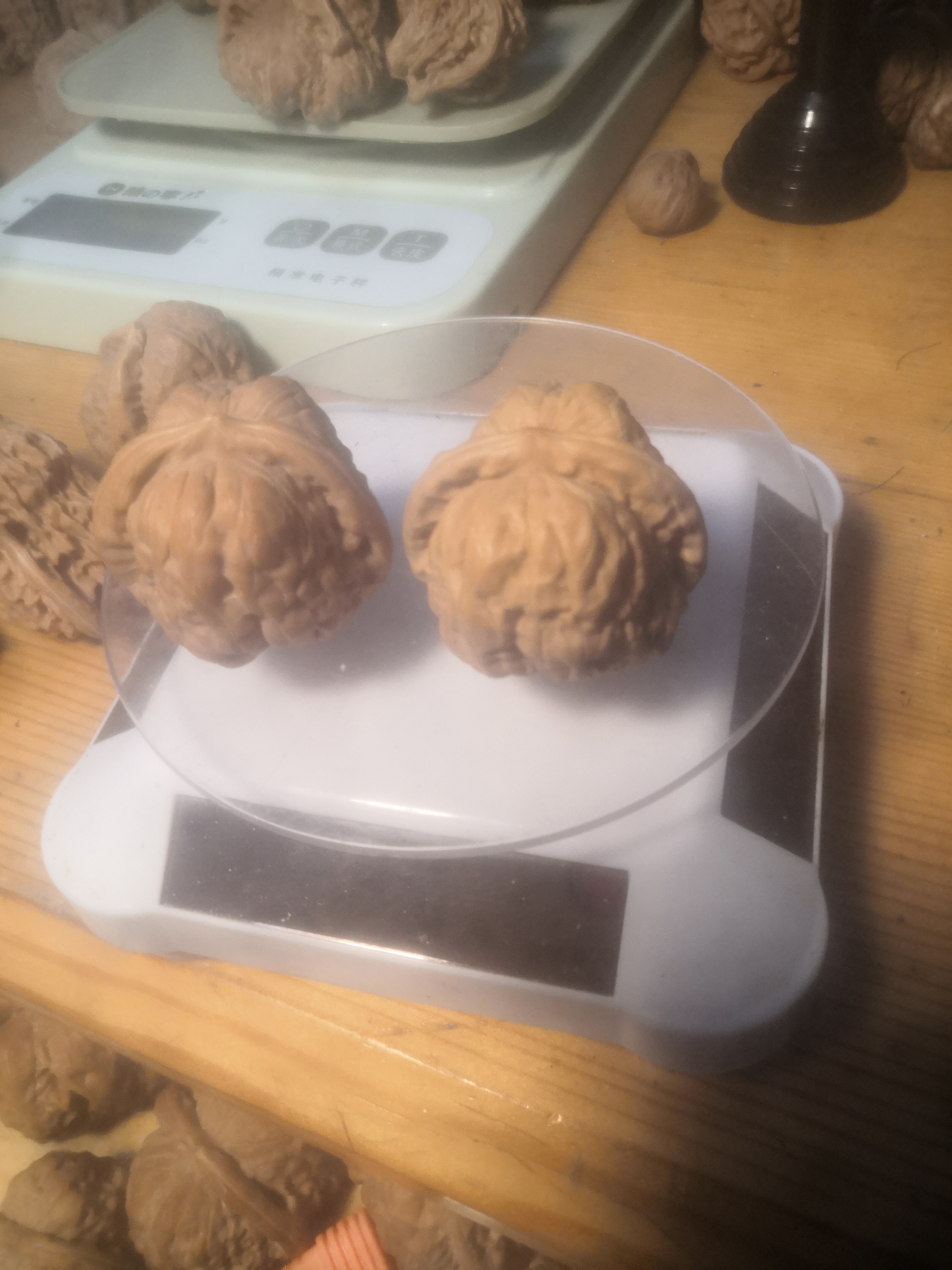 3.3蛤蟆头成品对