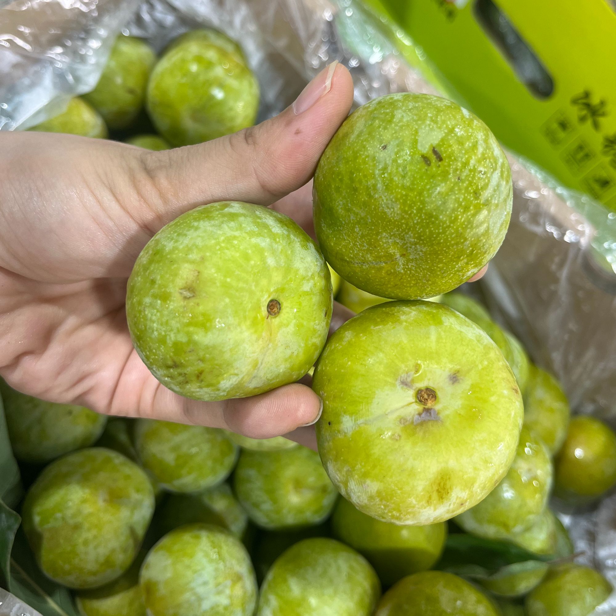 【哈拉秀严选】脱骨李分包装3/4/5斤（果子有轻微机械伤）