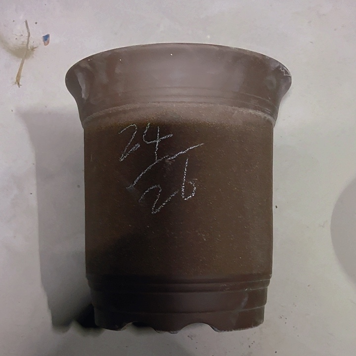 紫砂花盆特价清仓处理