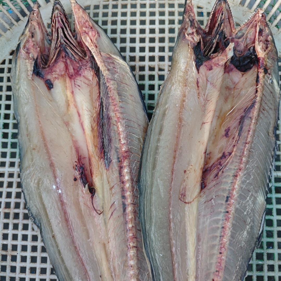 4条鱼 鲅鱼干3.2斤--3.5斤看好下单