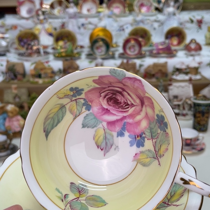 盘维多利亚欧洲中古