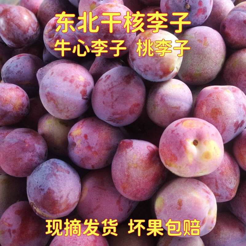 东北干核李子鸡心牛心李干碗大桃李子脱骨离核脱核新鲜现摘吉盛胜