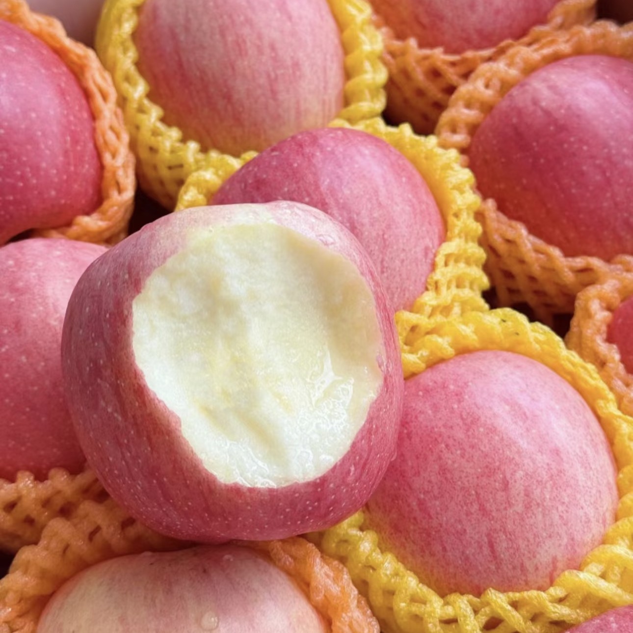 红富士苹果1袋 3斤山东省