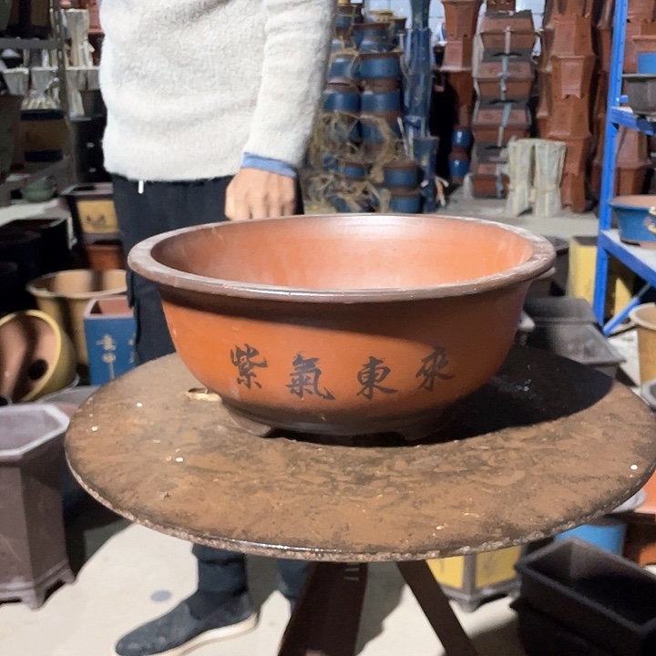 小红花盆花盆花盆