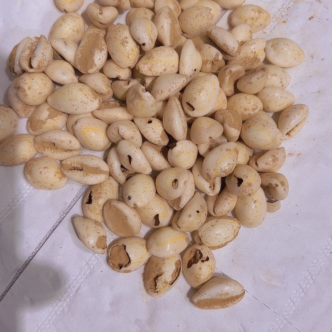 北***主瓷片瓷摆件瓷摆件瓷摆件瓷摆件
