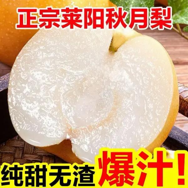 果然不错 特选山东莱阳秋月梨 