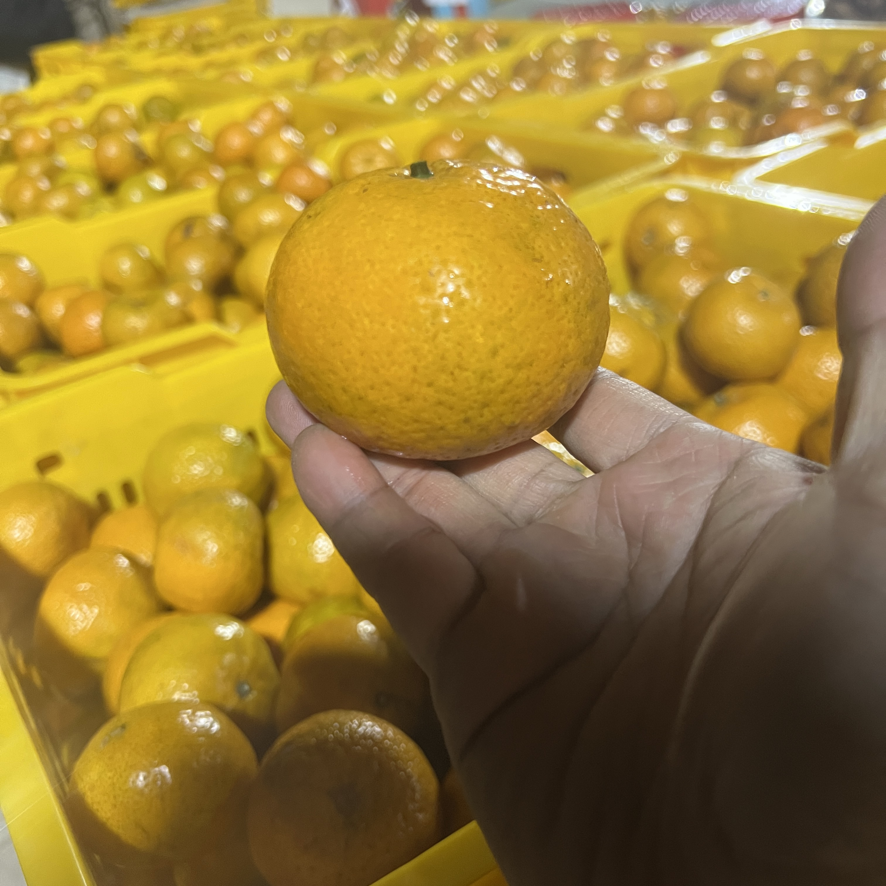 【礼乐原生树冬后大红果】新会陈皮原材料 真正原枝品质 约110g