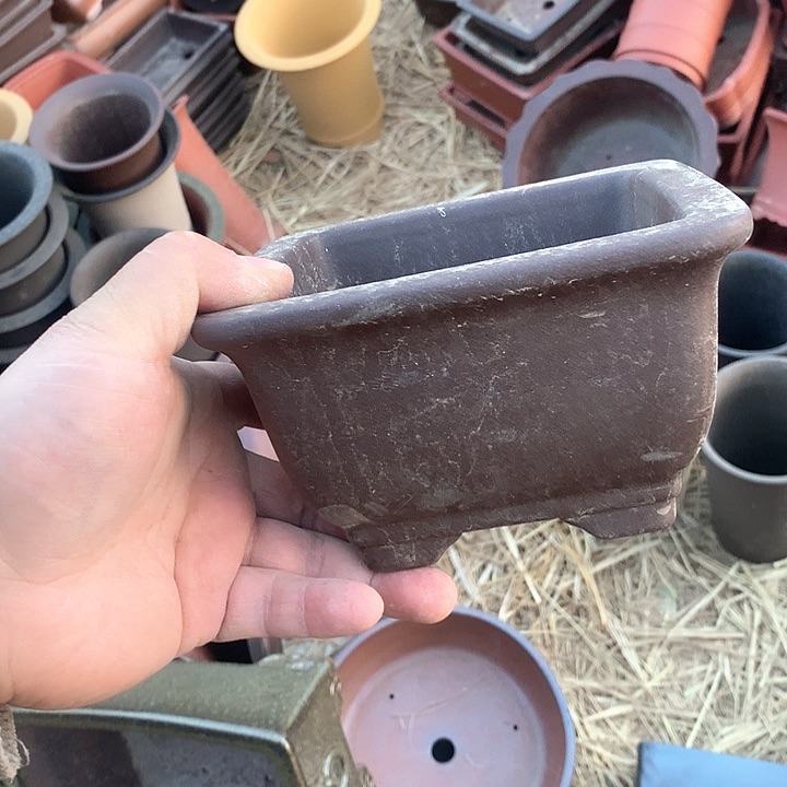 紫砂淘宝优惠券起单号给我