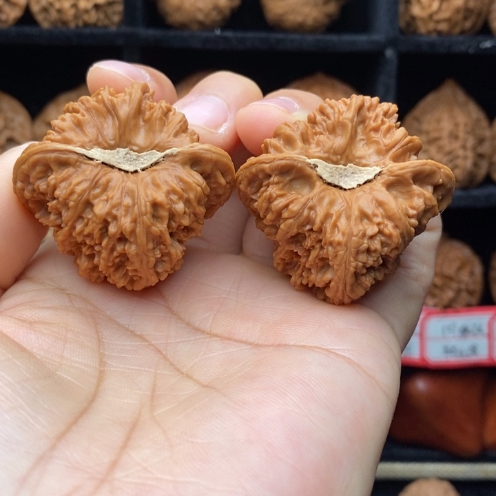 ꧁***꧂核桃福利密纹狮子头42全品