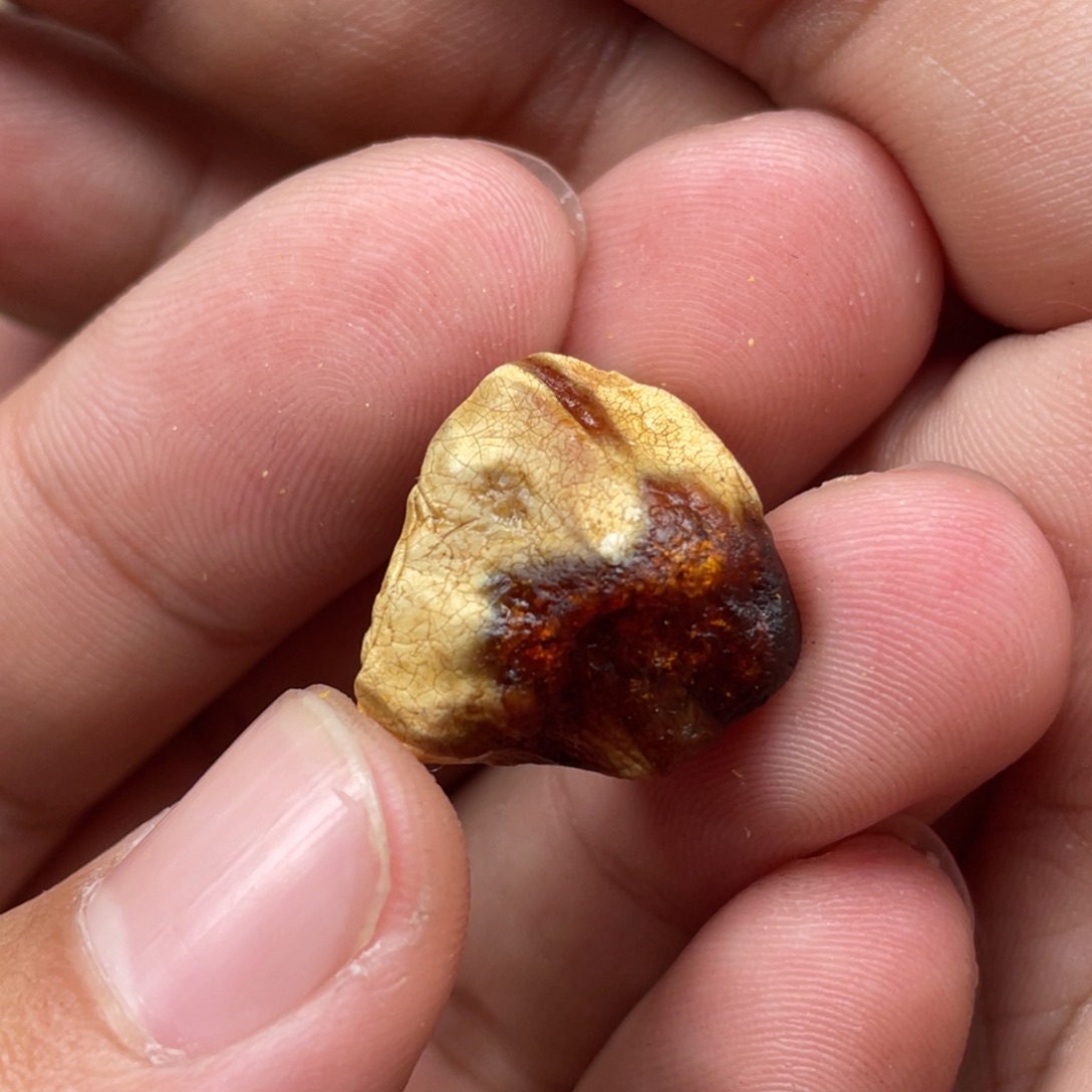 定制琥珀未镶嵌蜜蜡原石
