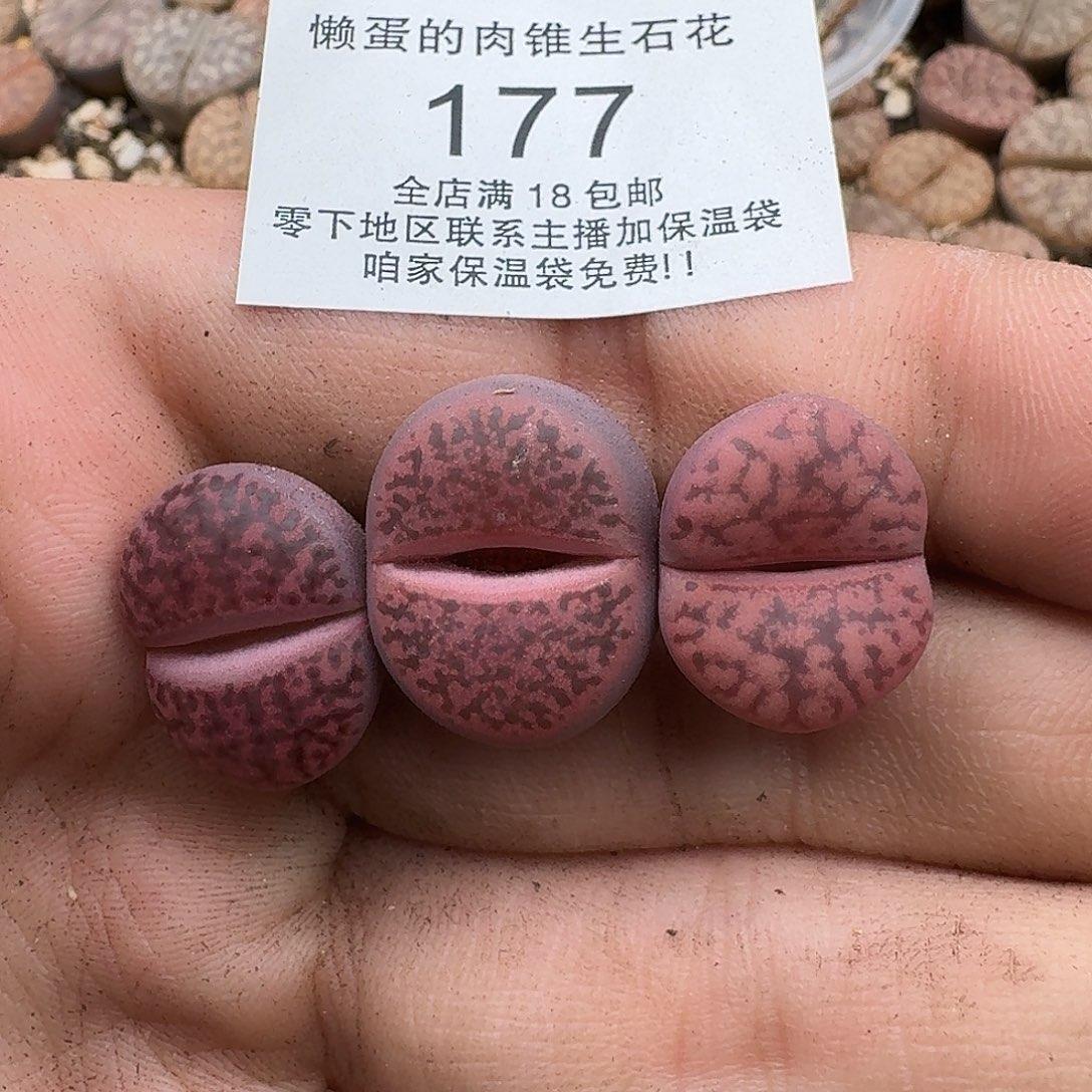 177满18包邮保温袋联系客服