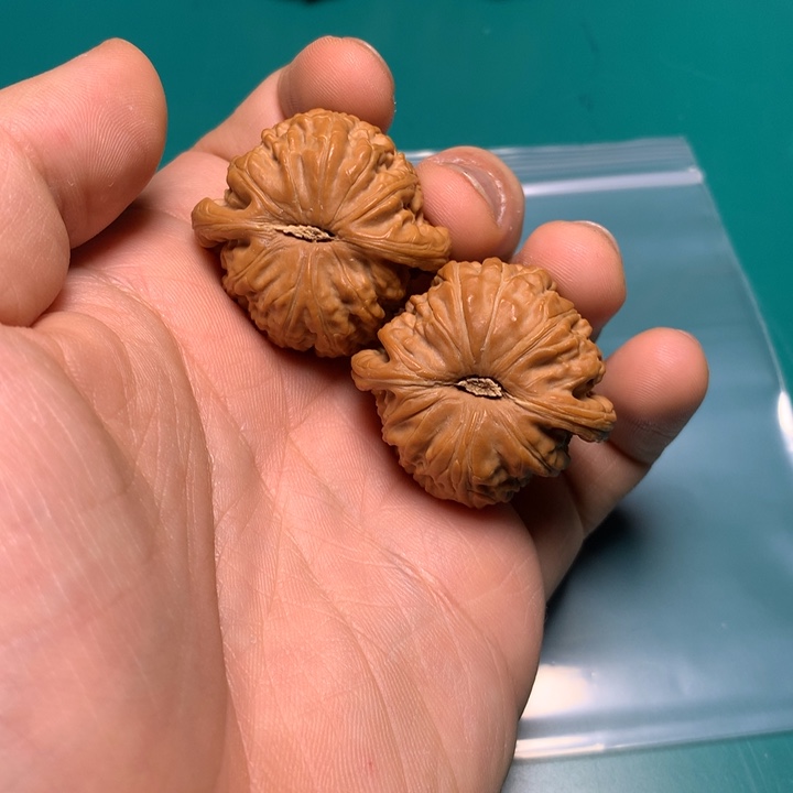 把件文玩核桃刘***瓣白狮子