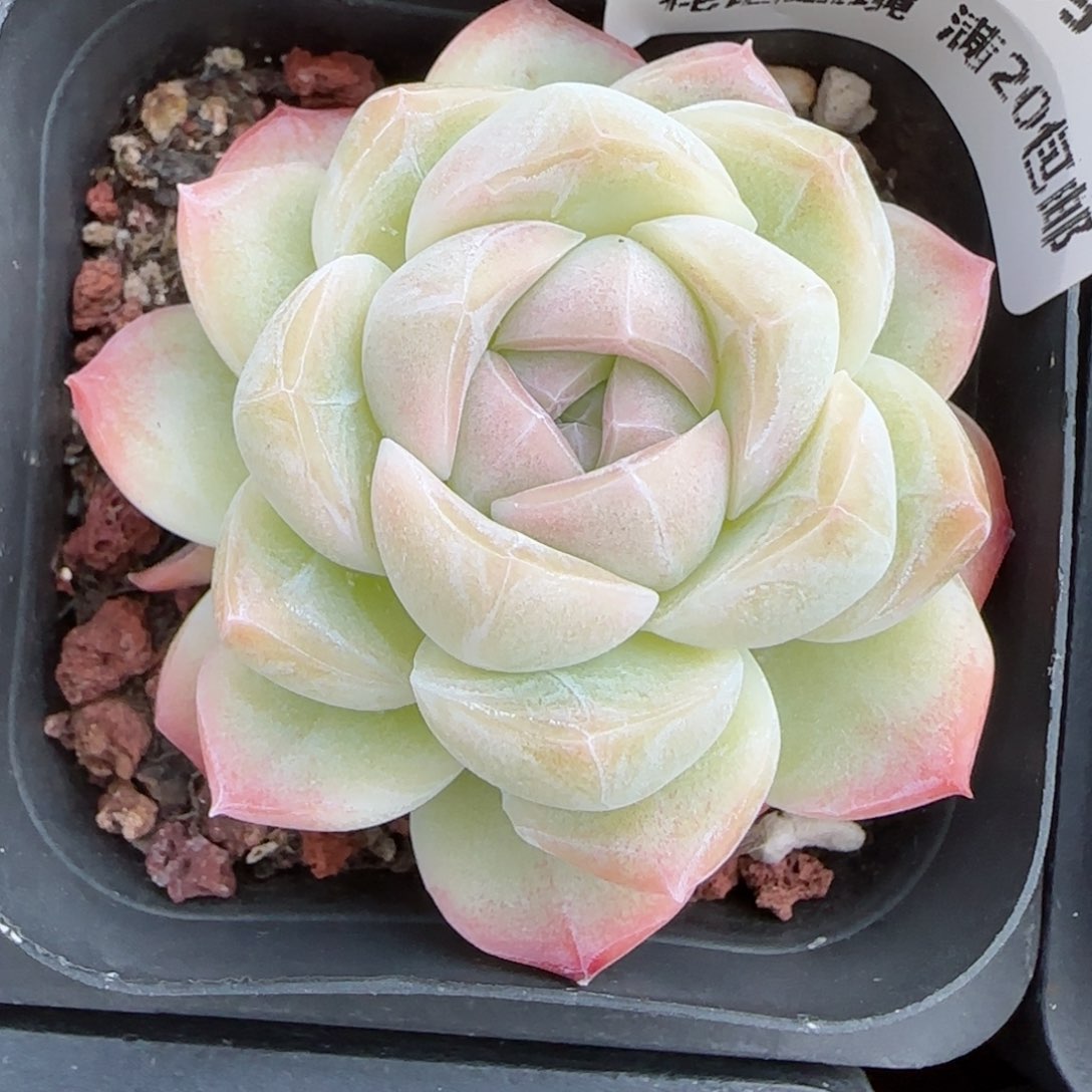 北*寒花语逸境0122-328