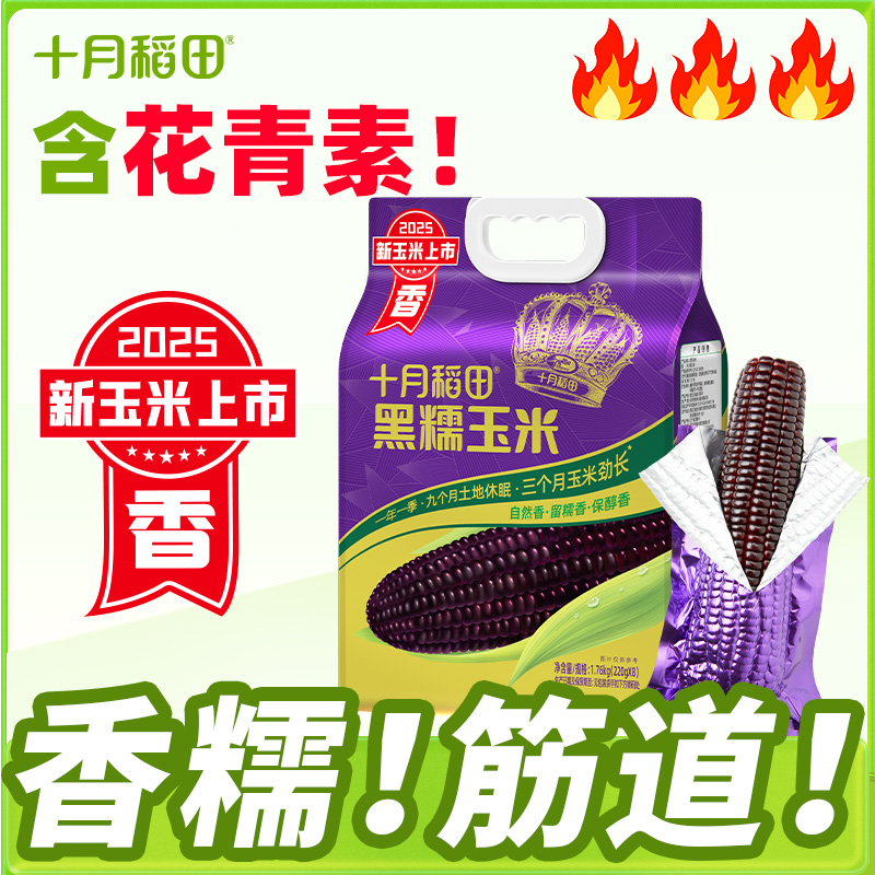 【粗粮轻食】十月稻田黑糯玉米棒香甜糯东北黏苞米拉丝真空铝膜装