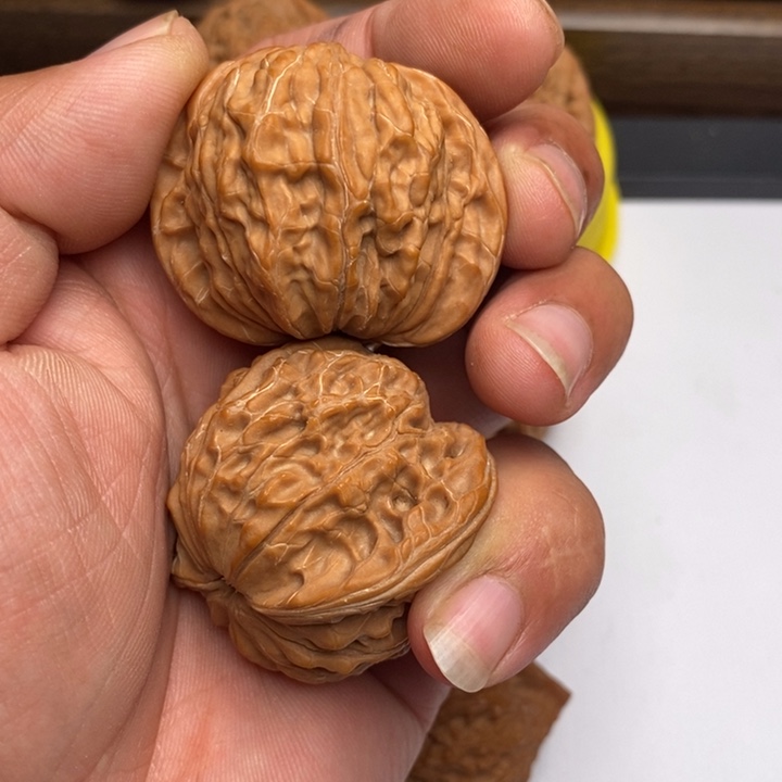 海***底手串/手链核桃磨盘狮子头42尺寸