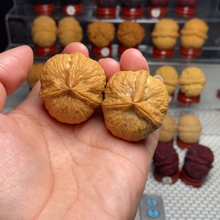 文玩核桃把件粗筋三棱12