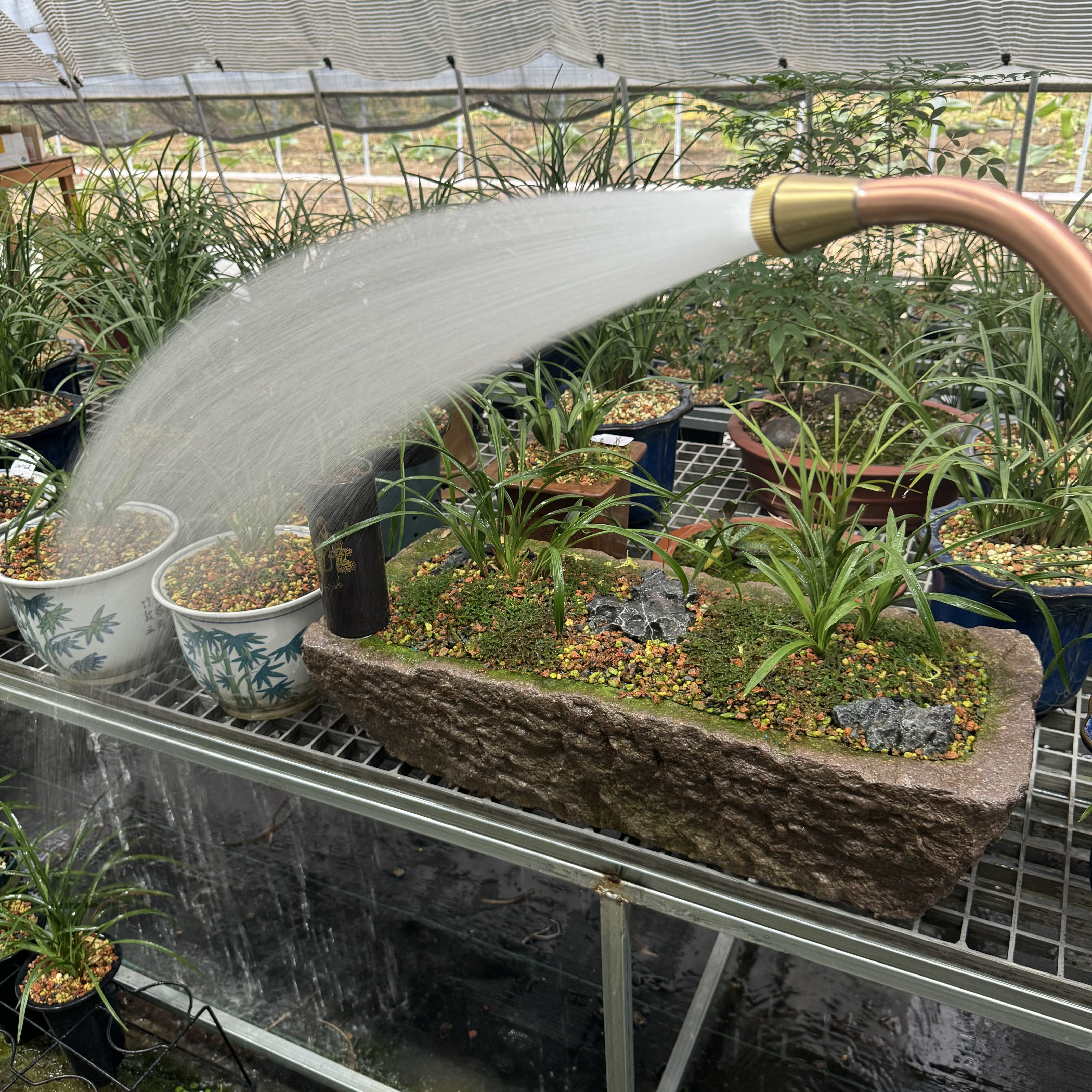 定制1260目铜制带手柄花洒盆景园艺兰园专用