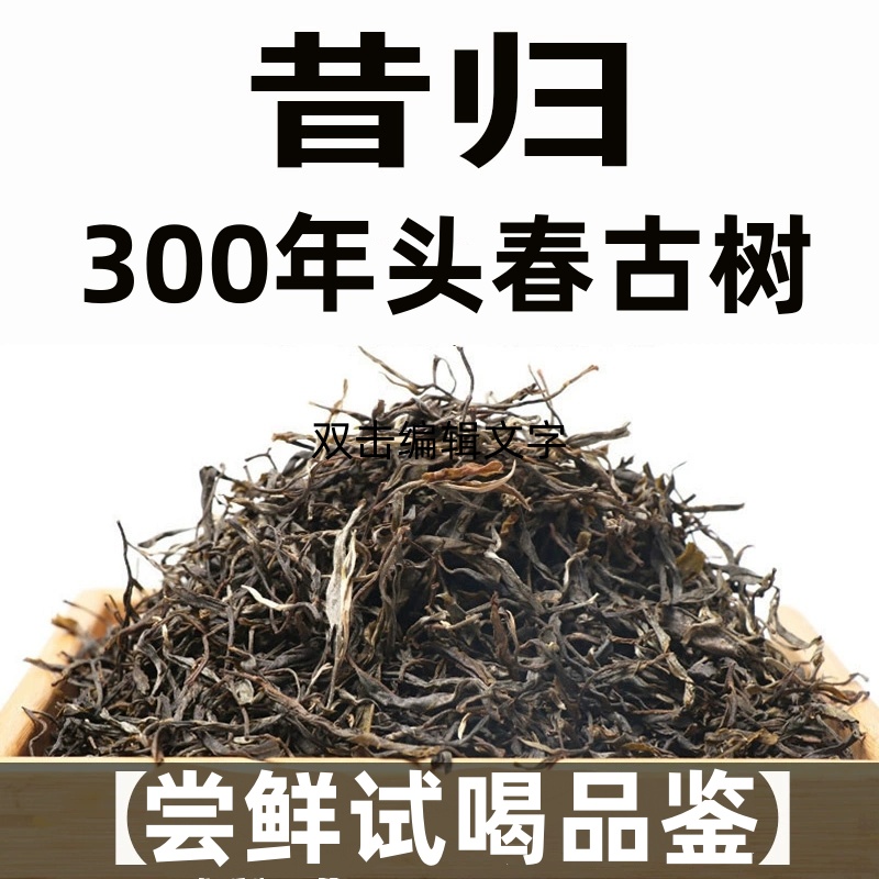 一泡难求！限购10单！2025年头春 昔归忙麓山古树散茶普洱生茶