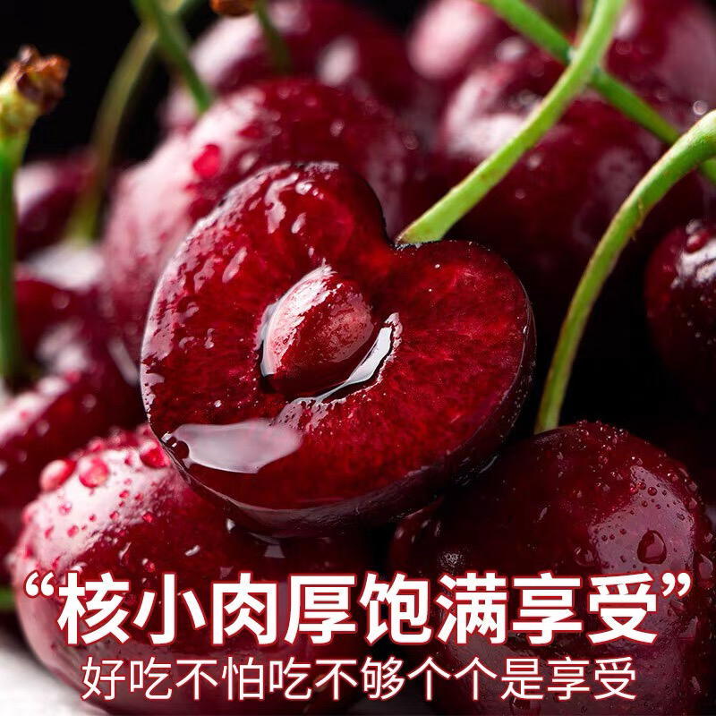 【新疆包邮】XL智利进口空运车厘子500g装桑提娜樱桃内附果径卡