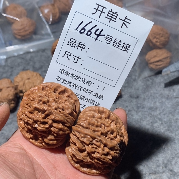 文玩核桃把件1664号可以我想我哦哦哦