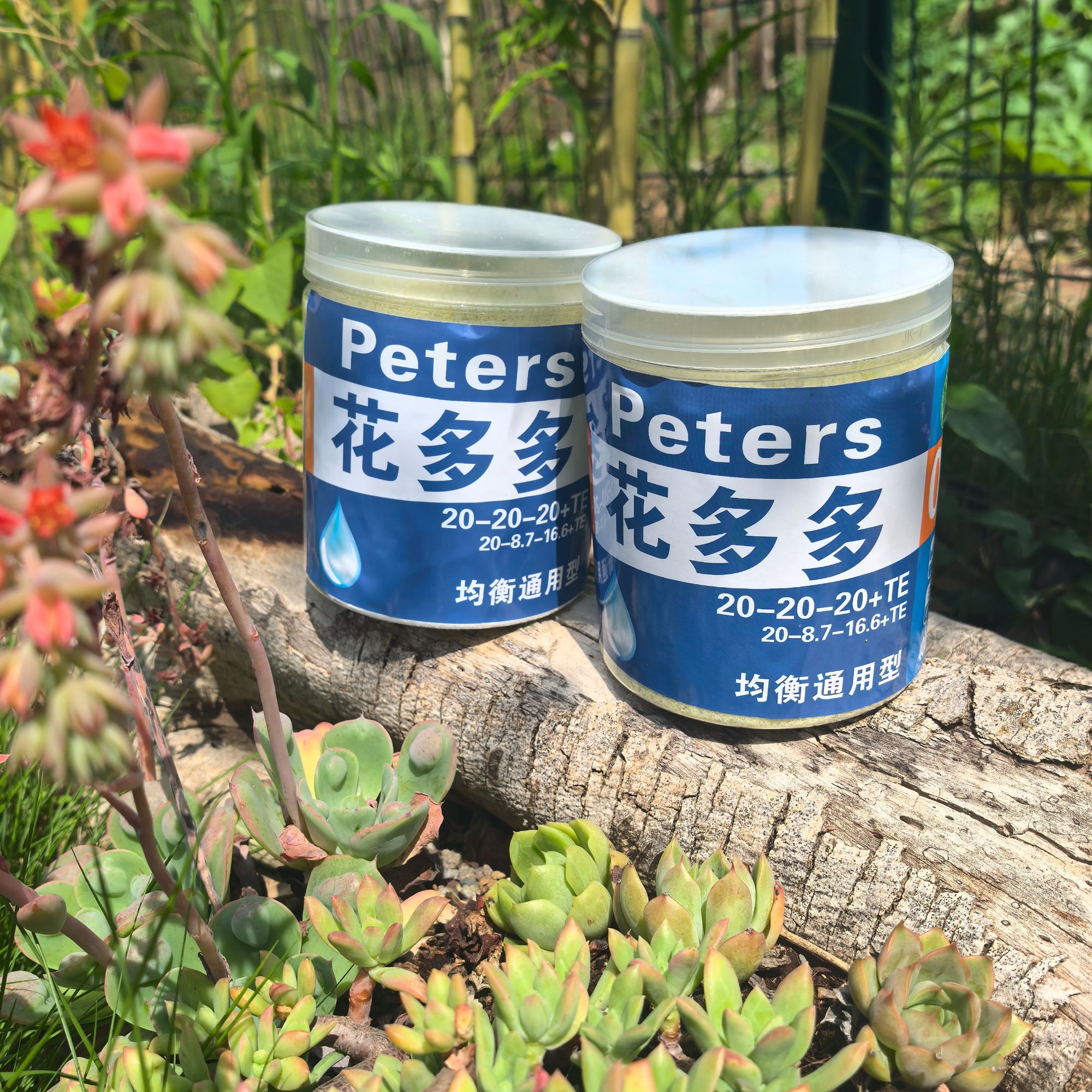 蔓藤园艺水溶肥适用于月季绣球发财树等花卉盆栽养花肥料