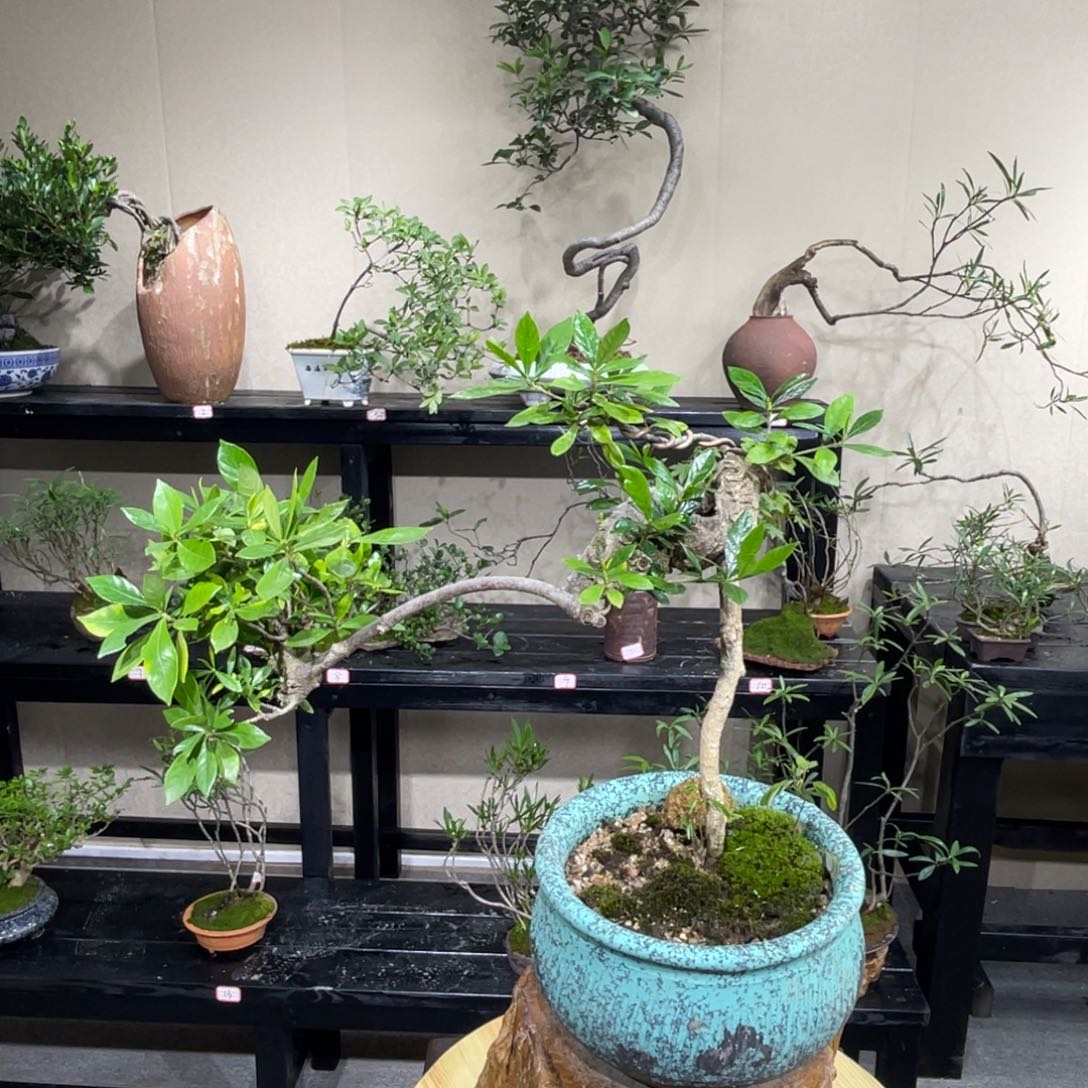 留***忆无花朵455698775566655