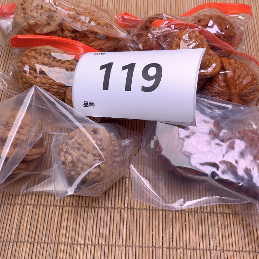 文玩核桃把件119号6复古