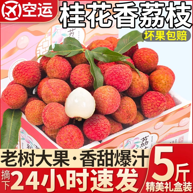 海南荔枝新鲜 桂花香荔枝新鲜现摘果园现摘现发 新鲜水果顺丰包邮