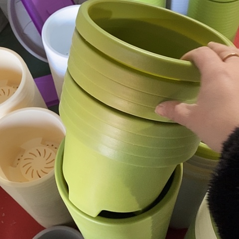 球根21口径6个果绿无托