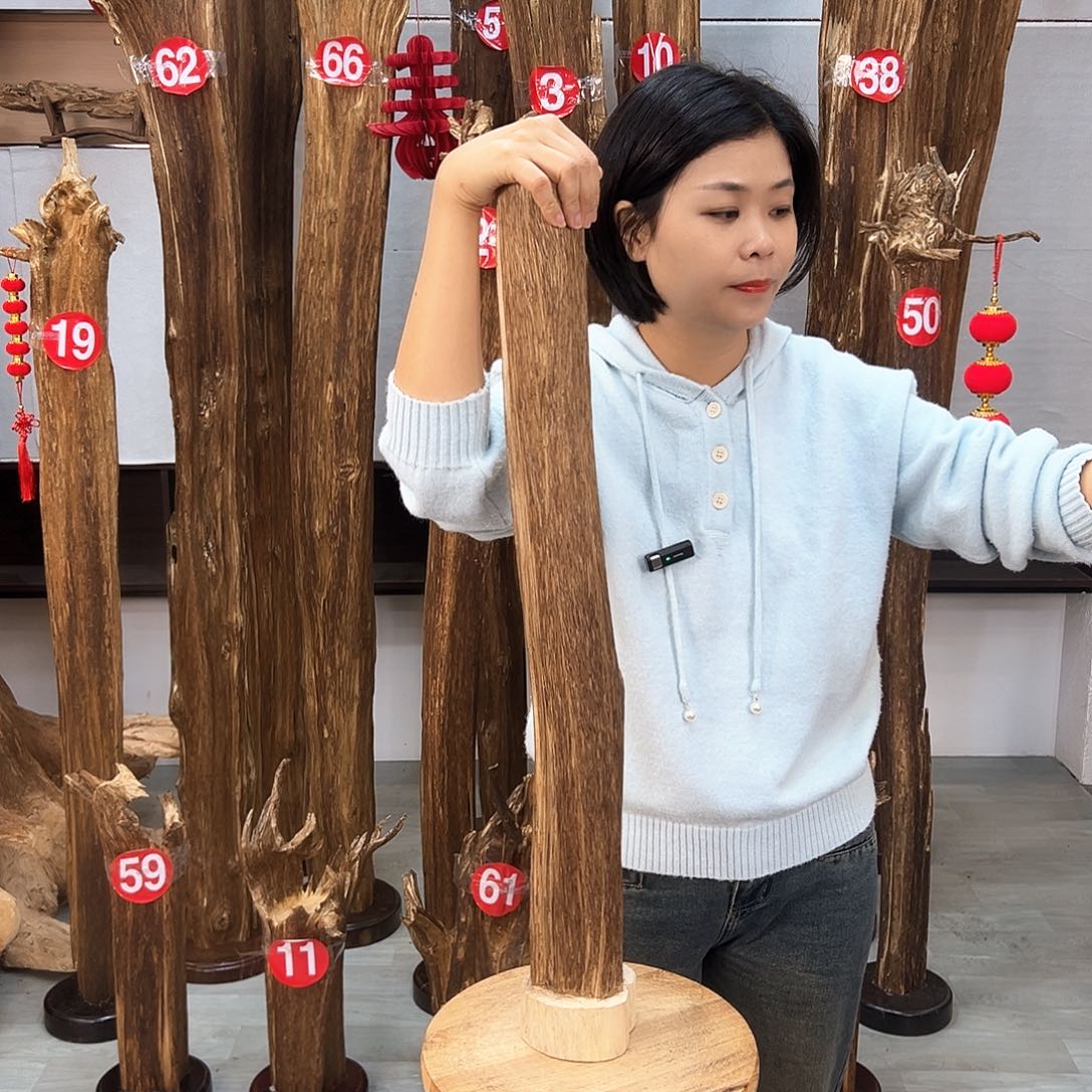 沉香摆件海南沉香摆件