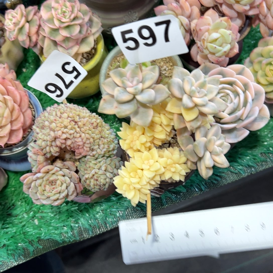 s***y597 满38包邮一物一拍