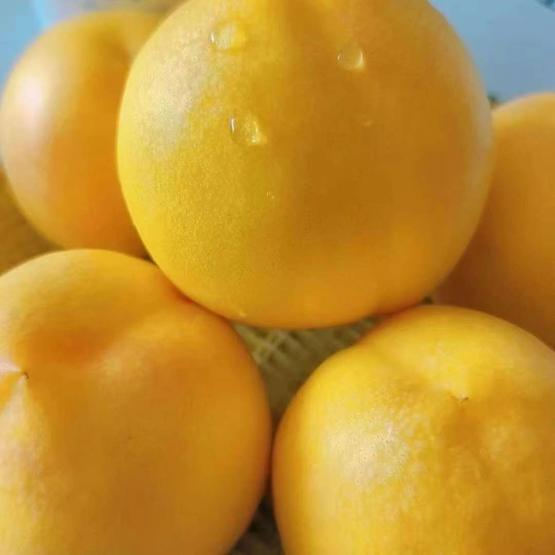 【顺丰包邮】黄金蜜桃 辽宁丹东宽甸河口黄金油桃黄桃 坏果包赔