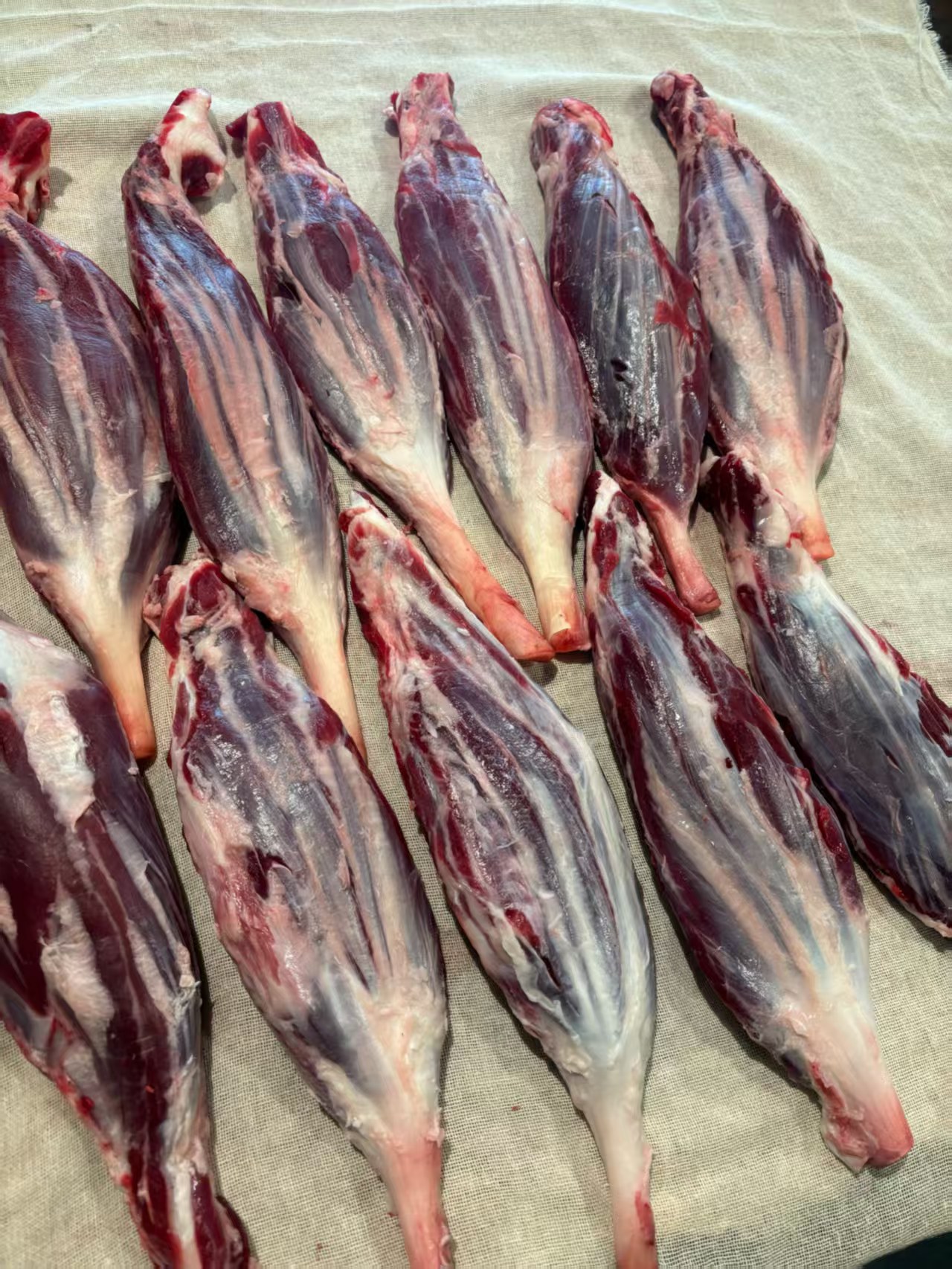 内蒙古锡林郭勒盟金钱腱