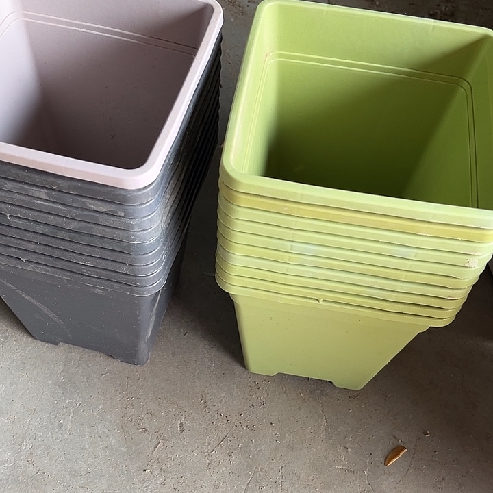 瑕疵小方盆果绿色发10个口径16高度18