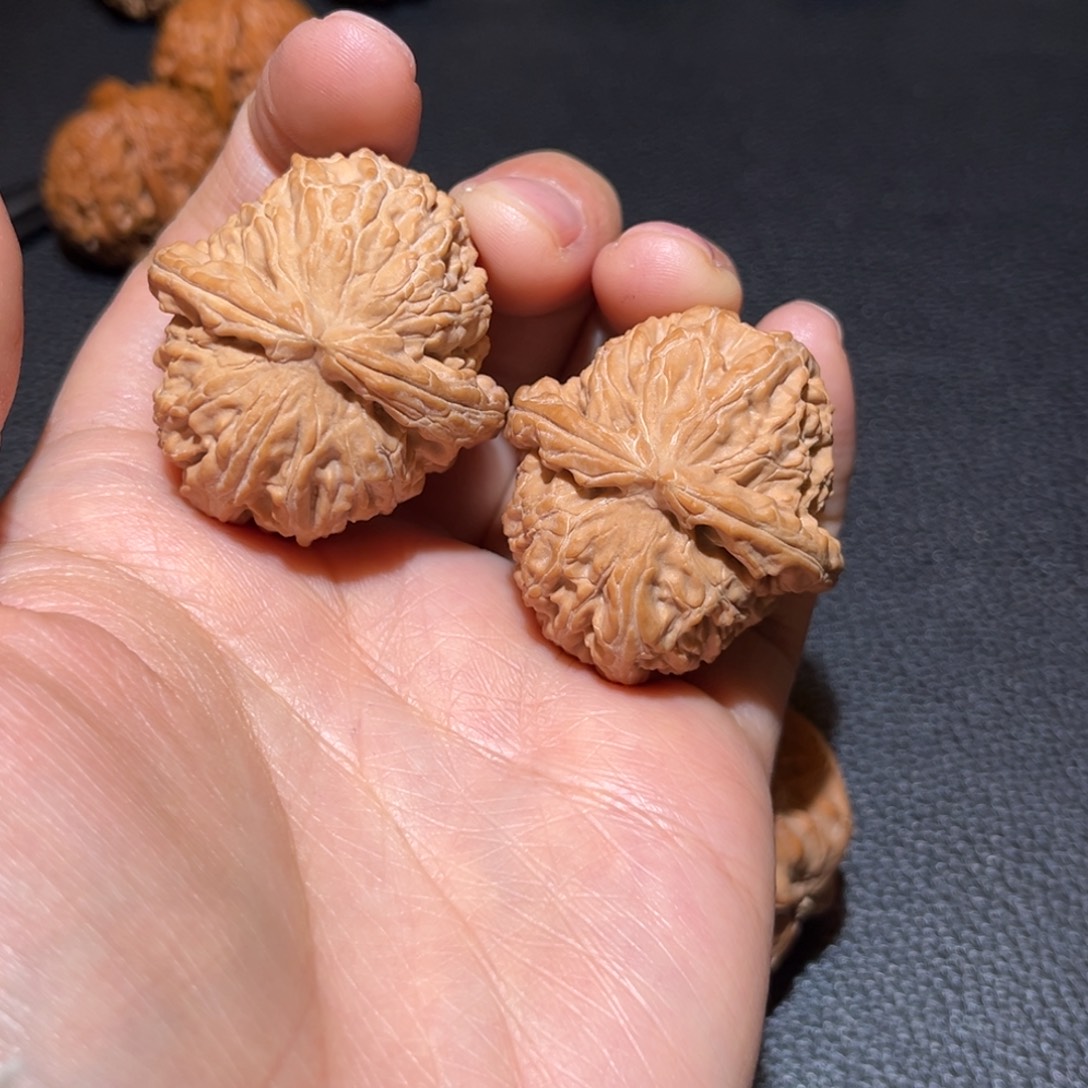 冬***灼把件文玩核桃白狮子36尺