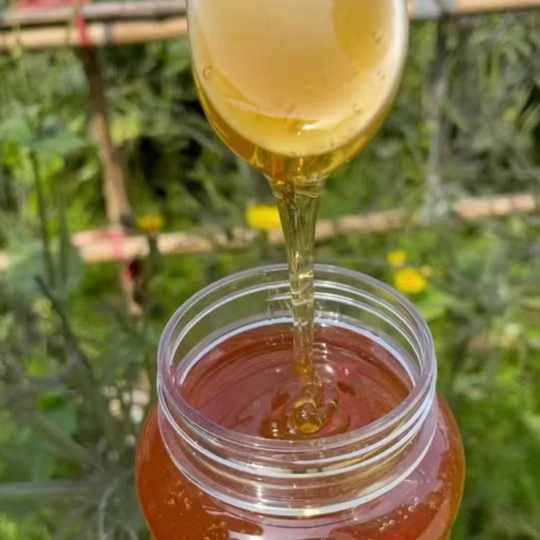 天然蜂蜜礼盒装（两瓶配蜂蜜勺） 农家天然蜜 节日送礼滋补养生佳品