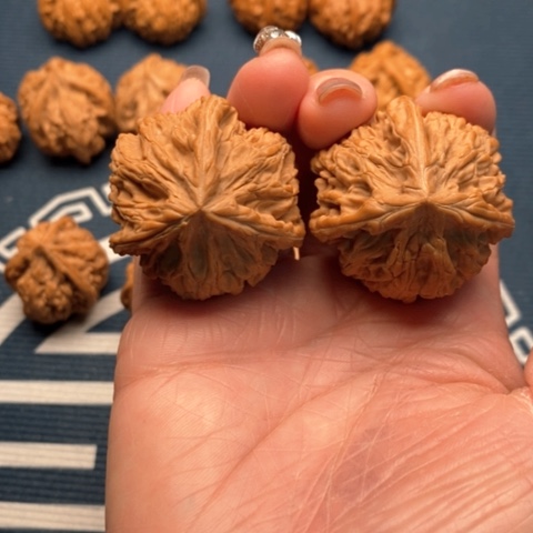 橄榄核手串/手链爱***搭文山39