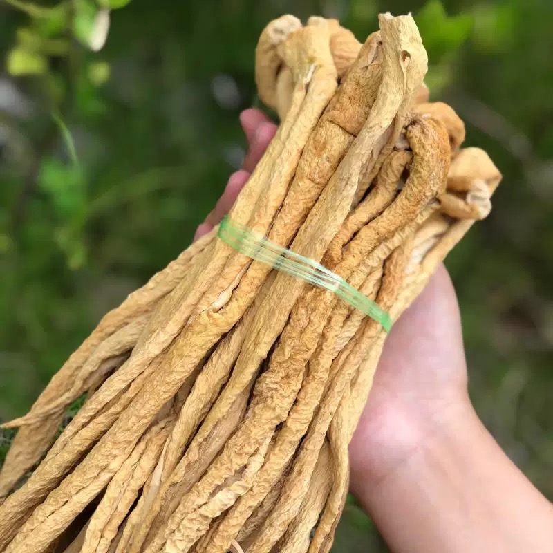 新萝卜干无盐原味晒干农家萝卜干农家自制干萝卜条