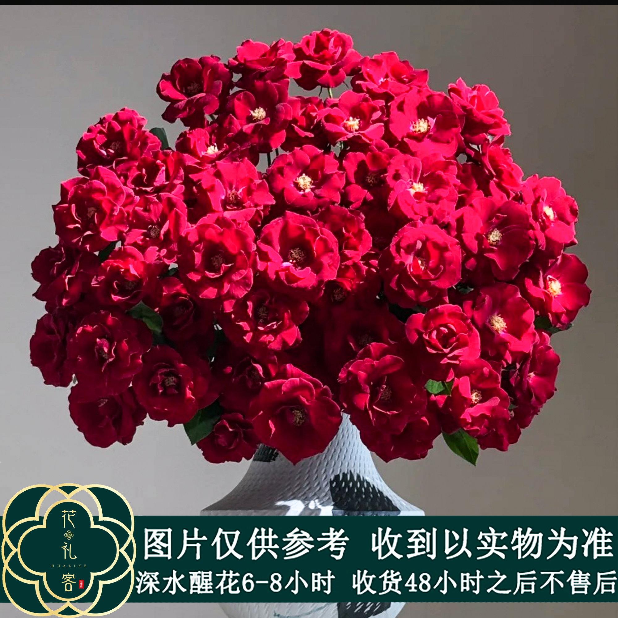 云花巷# 【红月芭比】稀有小众品种