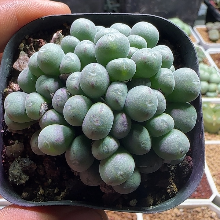   哈哈哈哈哈哈哈。 207