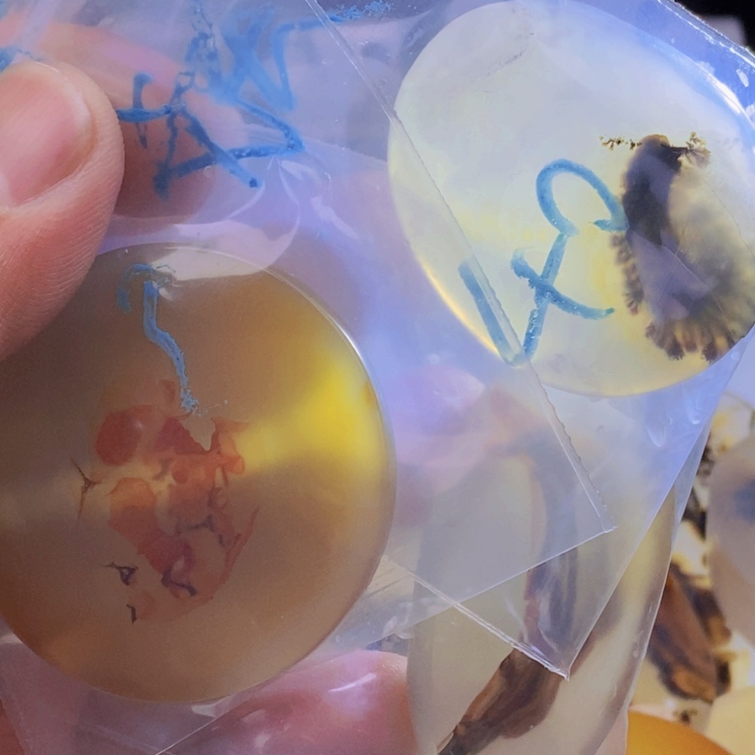 妖***玖玛瑙/玉髓未镶嵌吊坠(不含链)