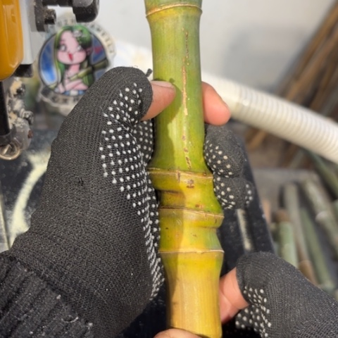 *****实心竹竹竹竹竹竹竹竹竹竹