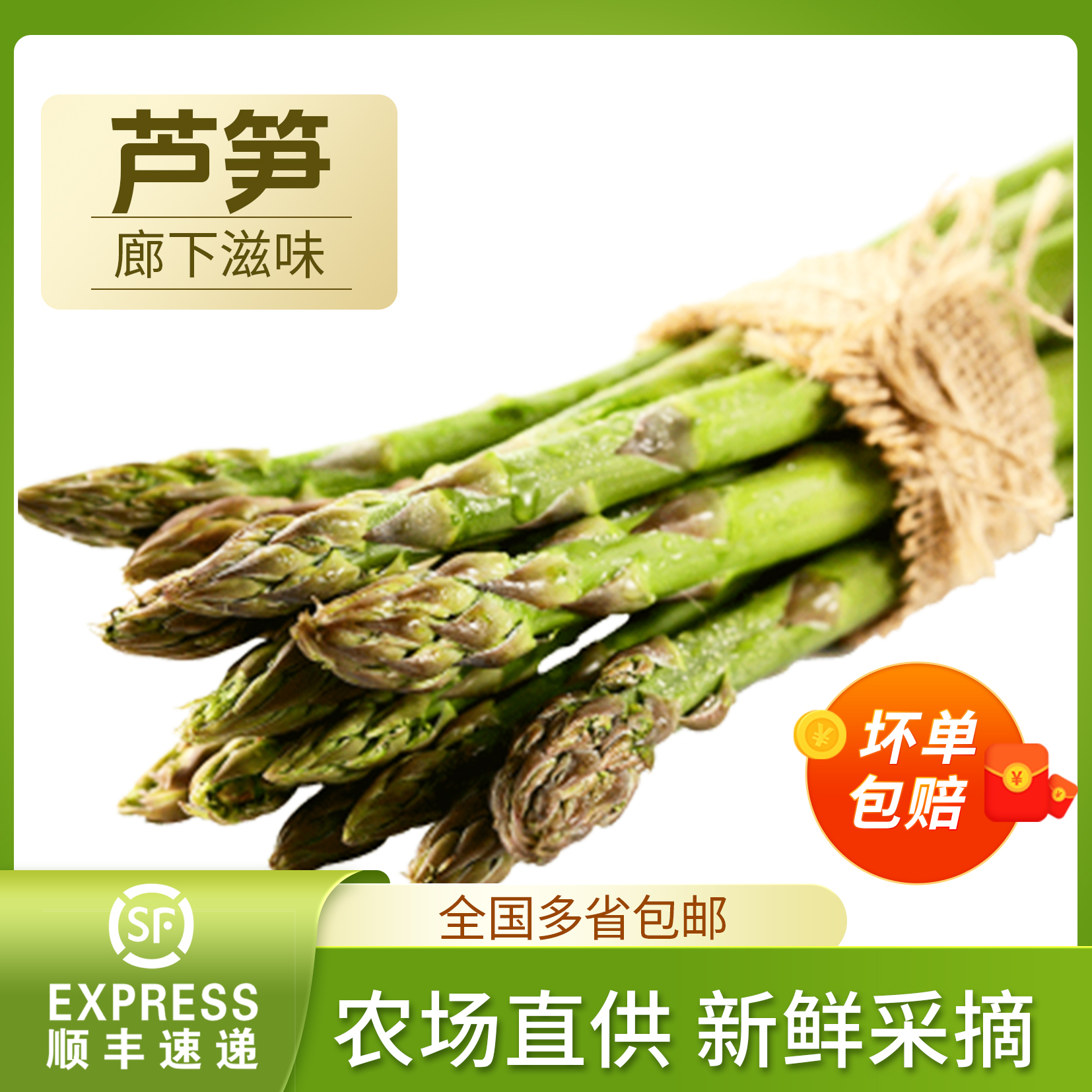 曹县芦笋大棚种植绿芦笋（特大号）