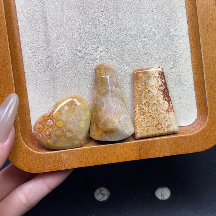 未镶嵌吊坠硅化珊瑚（珊瑚玉）