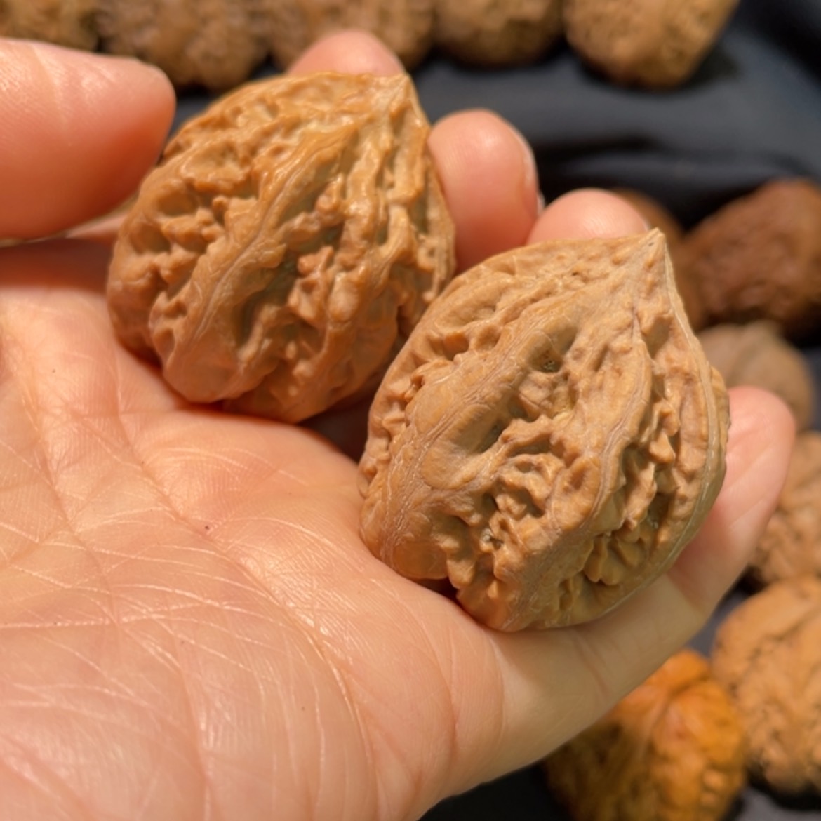 【闪购商品】文玩核桃吊坠淄****司东北楸子42