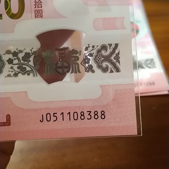 塑料蛇纪念钞 051108388